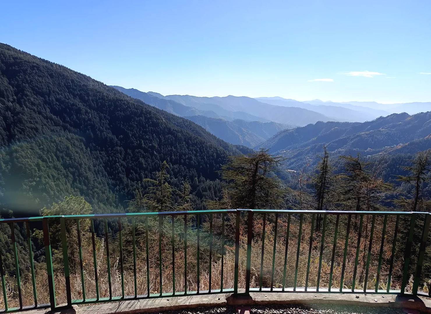 The Flavorful journey of Shimla: Exploring the flavor of the hills