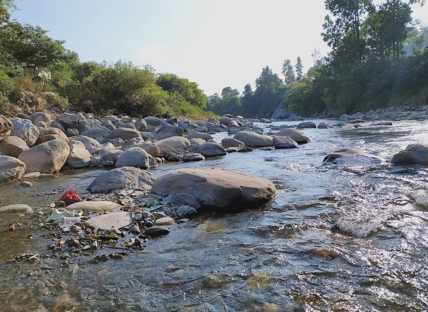 Dehradun Food Guide: Taste the Magic of Mountain Flavors