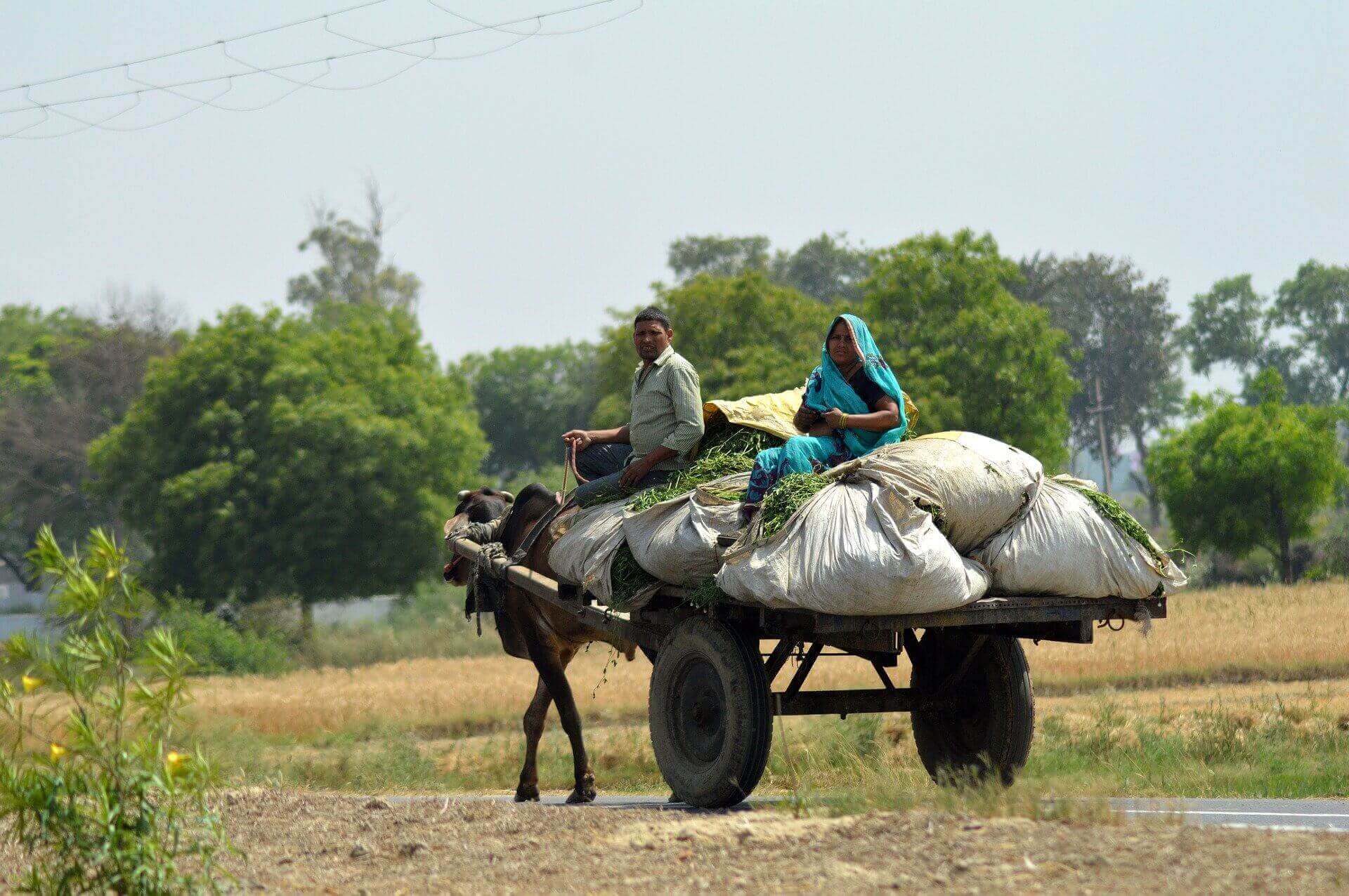 Fuel Ration Card Pyndensohsaw, East Khasi Hills: Village Population & Pincode - Village ...
