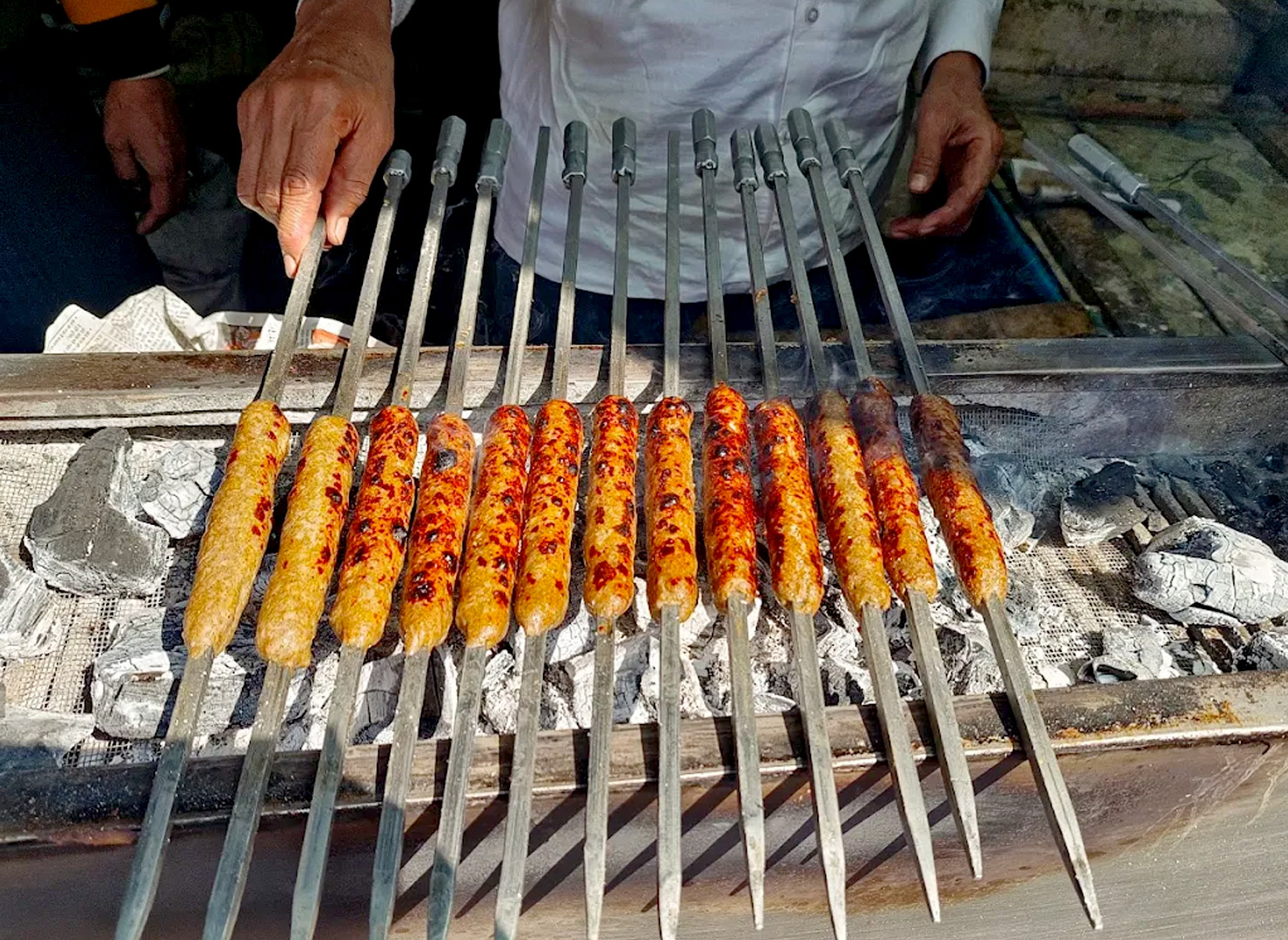 Seekh Kebabs