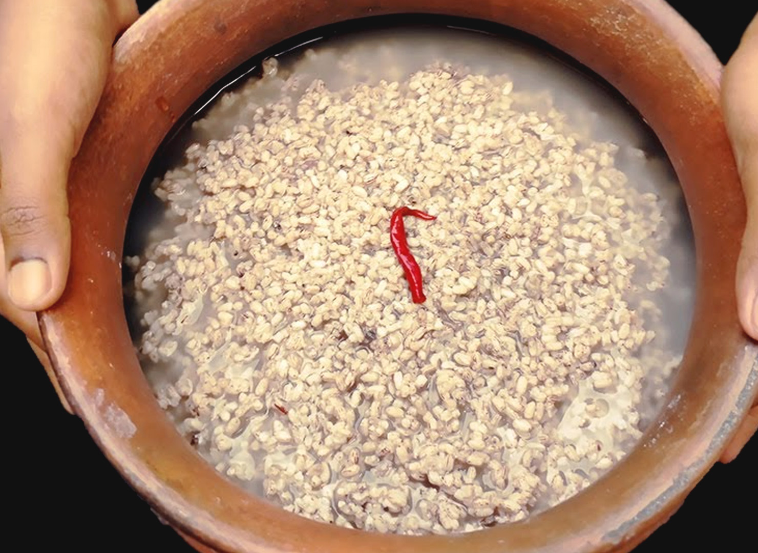 Handia (Rice Beer)